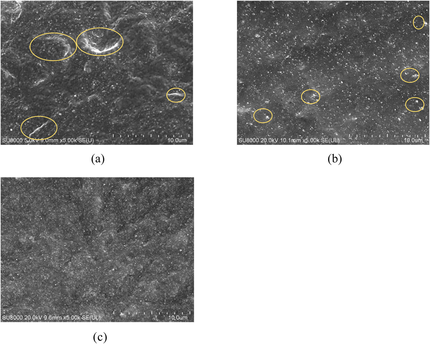 Figure 4 
                  SEM images of composite preparation by spray sputtering method with a different type of silica: (a) silica commercially available, (b) in situ preparation from HCl solution, and (c) in situ preparation from NH4Cl solution.
               