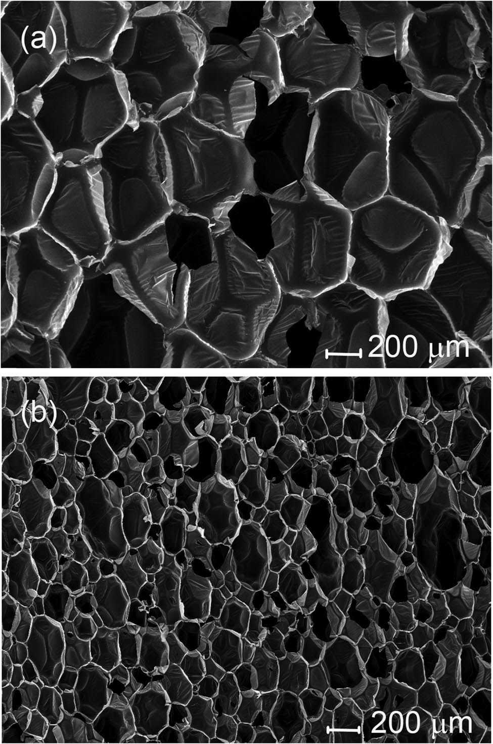 Figure 3
Cross-section of pouring (a) and spray (b) foam blocks in the foam rise direction at SEM 100× magnification.