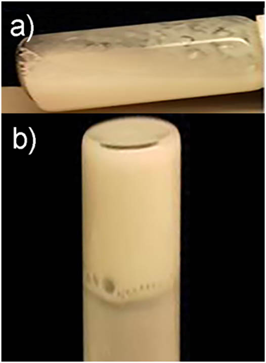Figure 4 
                  PCL–PEG–PCL triblock copolymer (20 wt%) in the sol state at 27°C (a) and in the gel state at 37°C (b).
               