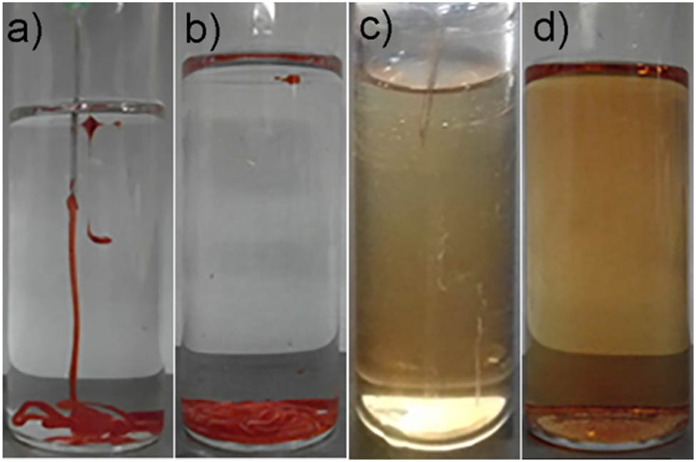Figure 6 
                  Hydrogel formation when injected in water at 37°C (a and b). Methyl red solution when injected under the same conditions (c and d).
               