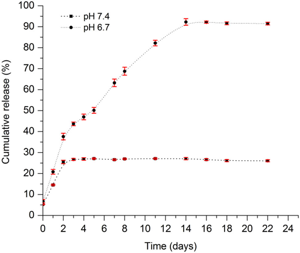 Figure 9 
                  Percentage of cumulative release of MTX from the H/MTX system in PBS at pH 7.4 and 6.7, for 22 days.
               