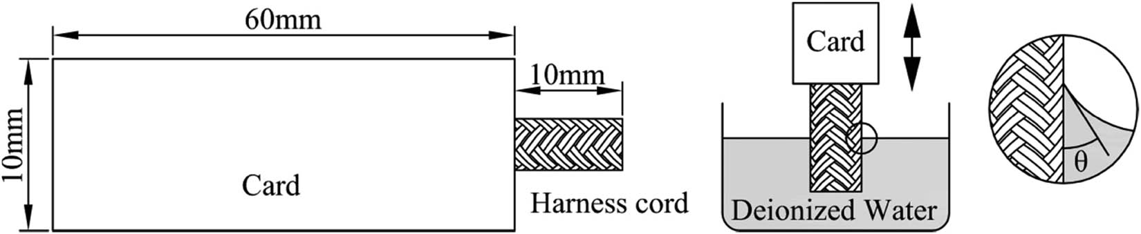 Figure 3 
                  Test specimen and schematic diagram of DCA.