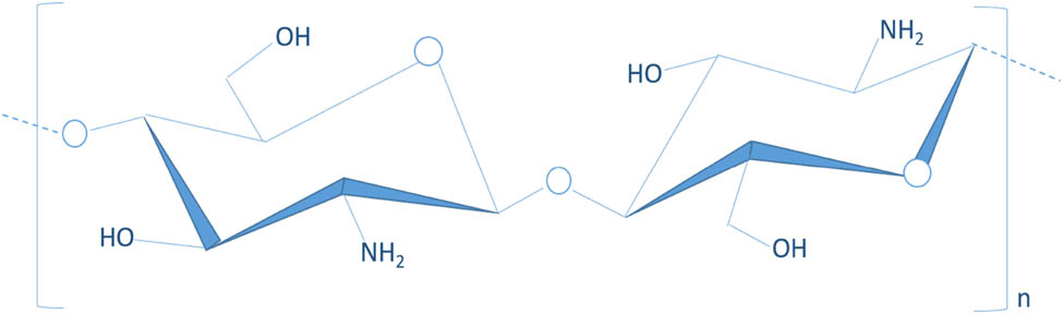 Figure 1 
               Chemical structure of chitosan.