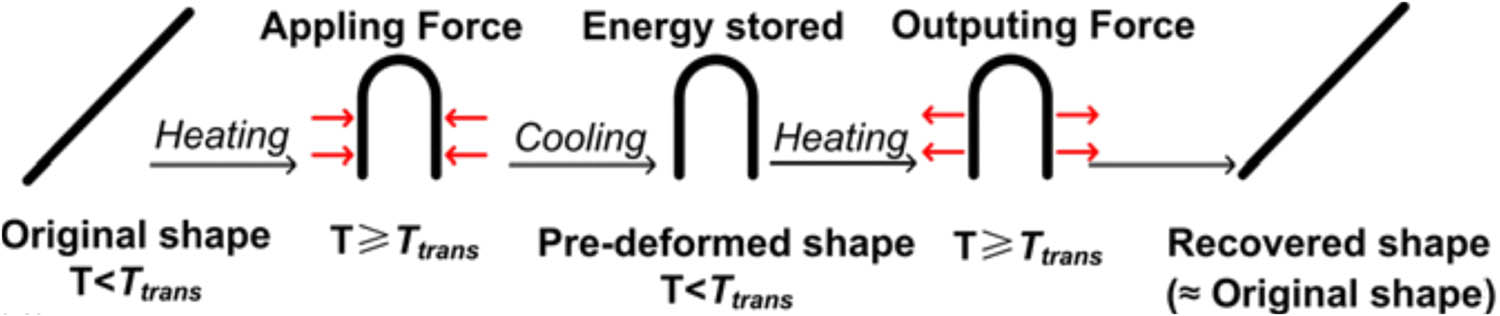 Figure 3 
               Schematic of shape memory effect during typical thermo-mechanical cycle (41). Reproduced with permission from Elsevier.
            