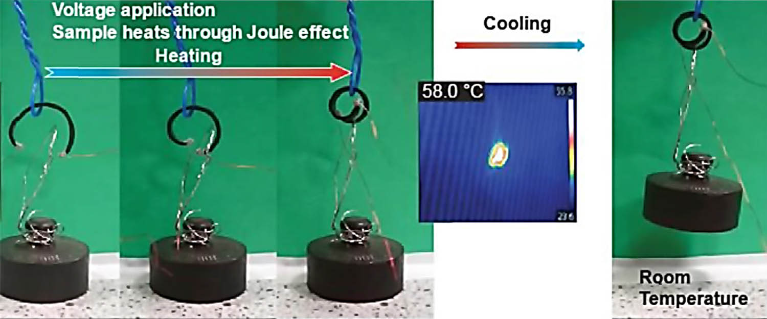 Figure 5 
               Infographic showing the behavior of epoxy nanocomposite subject to potential of 9 V. The composite coils back to pre-set shape after 60 s of Joule heating. The increase in temperature of sample to 58°C activated shape-memory effect (96). Reproduced with permission from Elsevier.
            