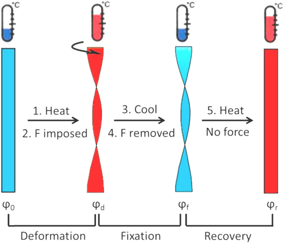 Figure 12 
               Illustration of shape deformation, fixation, and recovery cycle of multi-shape memory effect in torsion mode (119). Reproduced with permission from ACS.
            