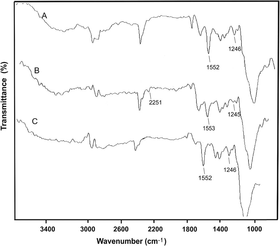 Figure 3 
               FTIR spectra of (A) TES, (B) TEC, and (C) TEAG.
            