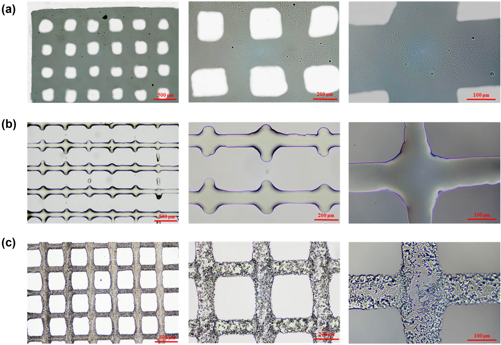 Figure 4 
                  Morphology of (a) HAMA-gel, (b) PEGDA, and (c) PCEC-derived micropatterns by inkjet printing. The scales are 500, 200, and 100 µm, respectively.
               