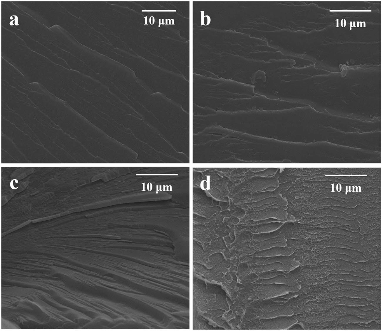 Figure 10 
                  The SEM images of the fractured surfaces of EP/PAA after curing: (a) E
                     1, (b) E
                     2, (c) E
                     3, and (d) E
                     6.
               
