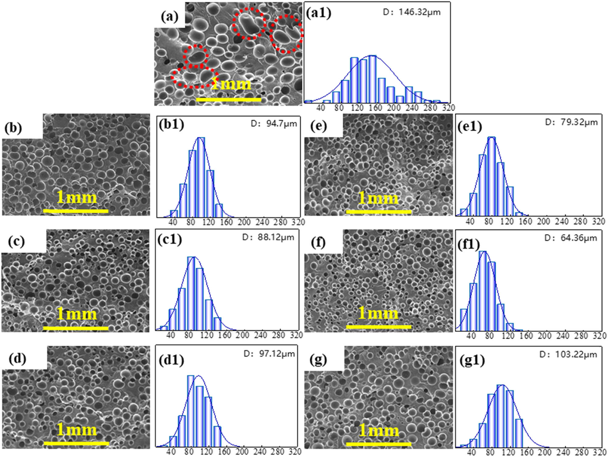 Figure 6 
                  SEM images of microcellular foams and histogram of statistical distribution of microcell sizes in PA6 microcellular foams with different chain extender: pure PA6 (a,a1), PA6-ZeMac 0.3 (b,b1), PA6-ZeMac 0.5 (c,c1), PA6-ZeMac 0.7 (d,d1), PA6-TGIC 0.3 (e,e1), PA6-TGIC 0.5 (f,f1), PA6-TGIC 0.7 (g,g1).
