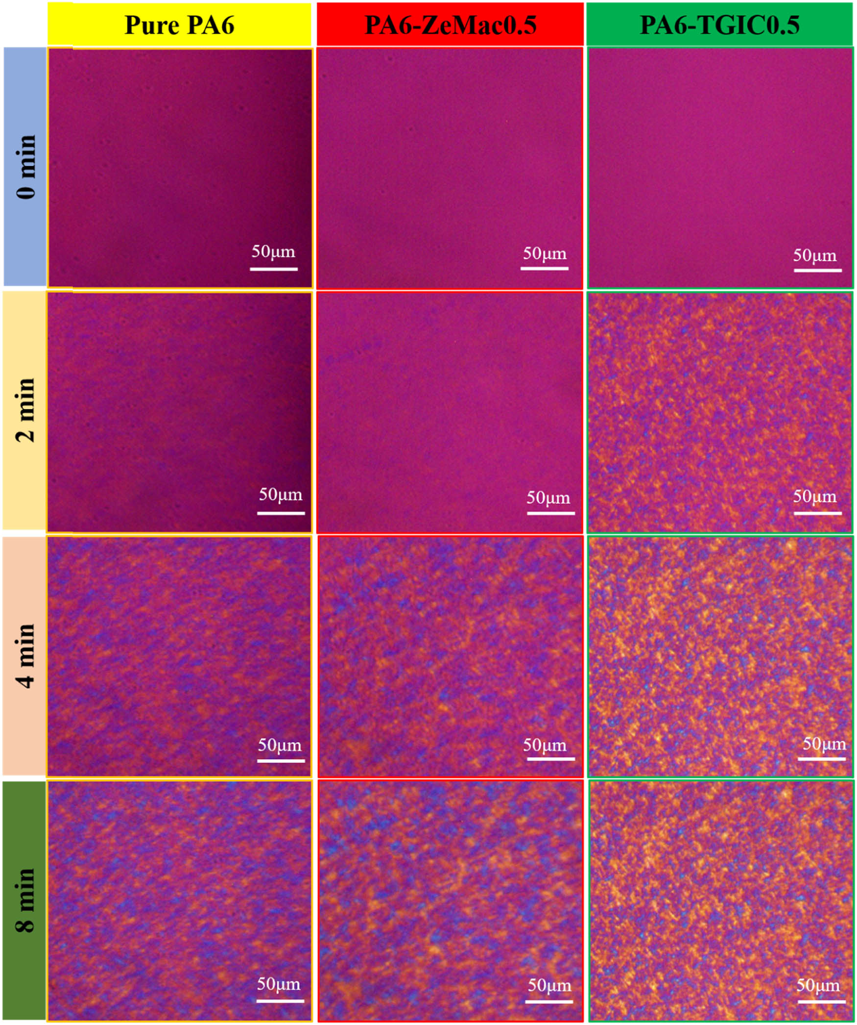 Figure A1 
                  POM images of pure PA6, PA6-ZeMac 0.5, and PA6-TGIC 0.5 isothermally crystallized at 195°C.