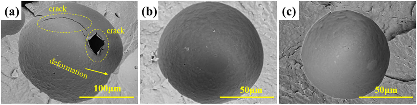 Figure A2 
                  Cell microscopic morphology of (a) pure PA6, (b) PA6-ZeMac 0.5, and (c) PA6-TGIC 0.5.