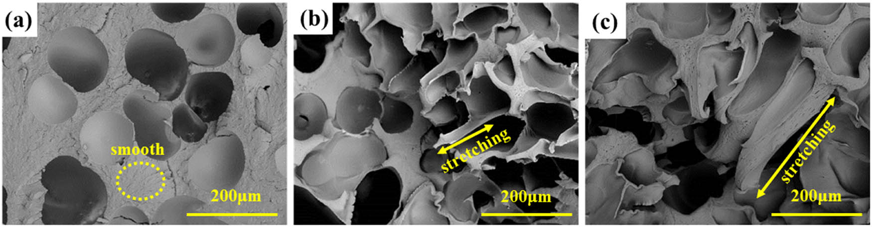 Figure A4 
                  Impact fracture surfaces of (a) pure PA6, (b) PA6-ZeMac 0.5, and (c) PA6-TGIC 0.5.