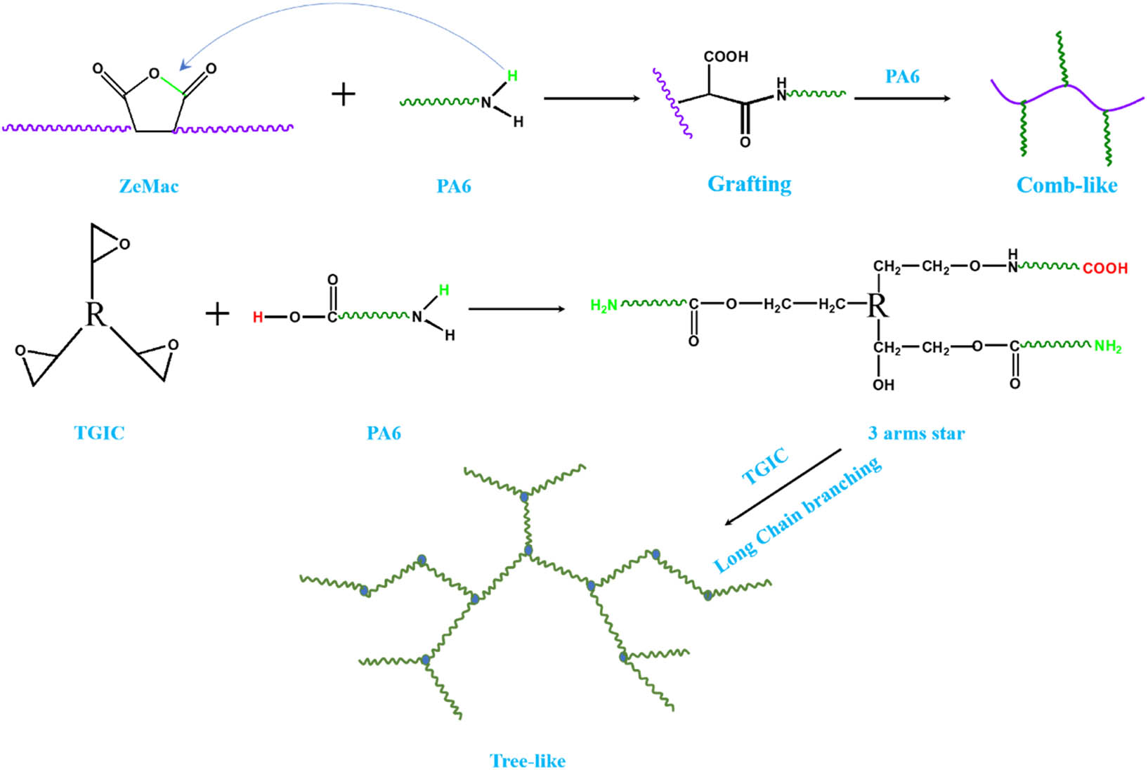 Scheme 1 
                  The reaction diagrams of the two modification methods and the possible product chain structure.