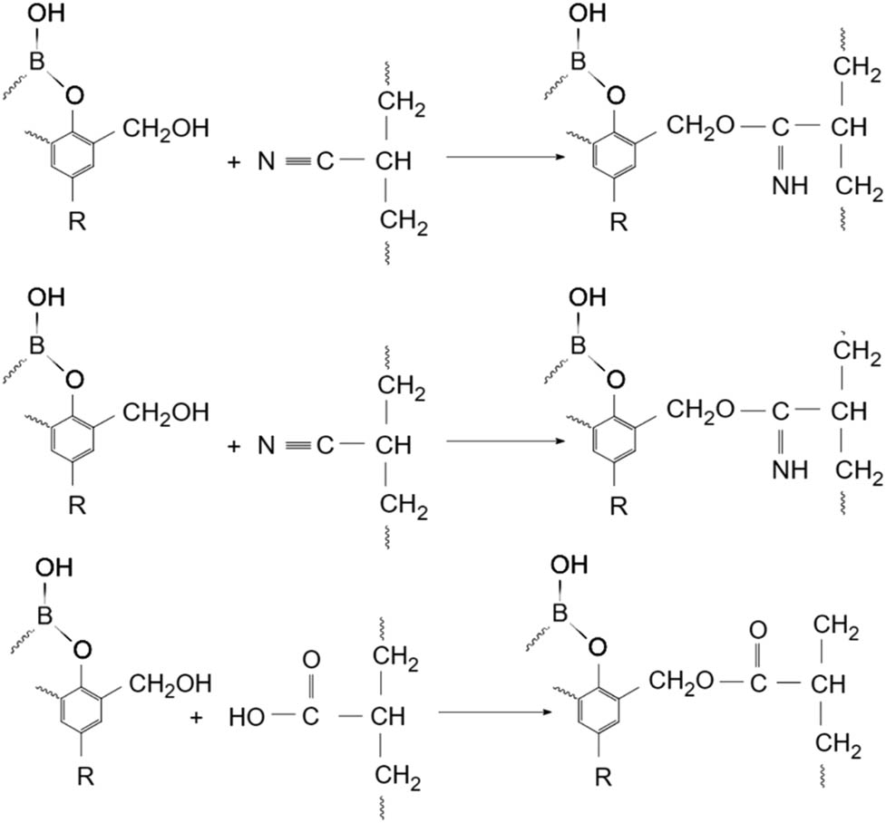 Figure 4 
                  Reaction mechanism of BPF and NBR.