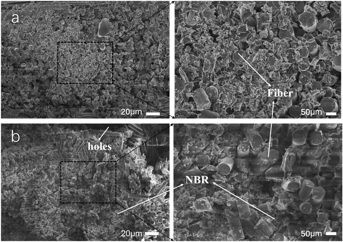 Figure 10 
                  SEM images of fractured surfaces of composites: (a) A-0 and (b) A-2.