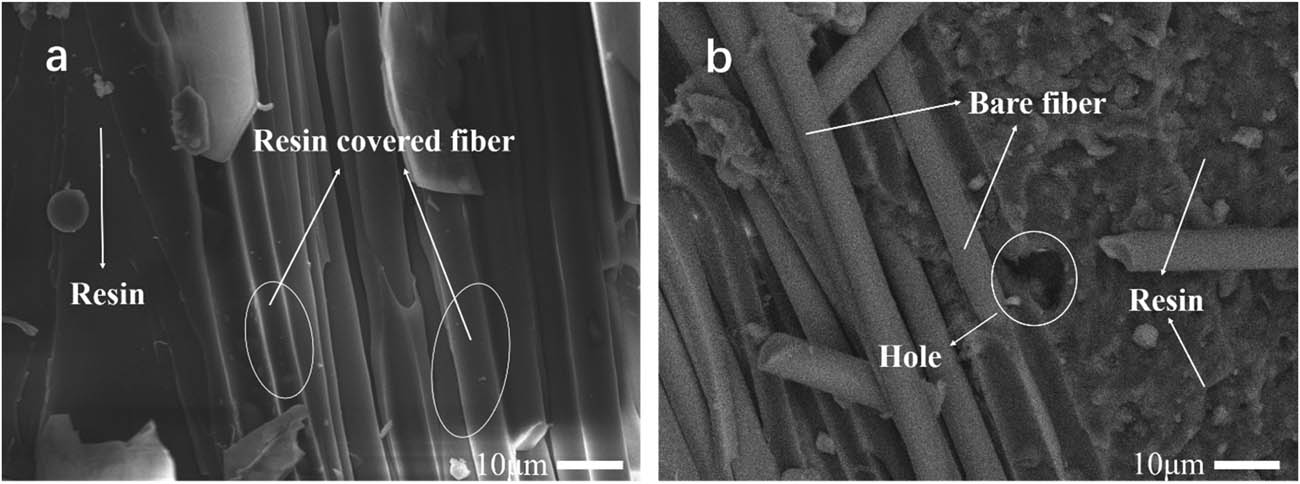Figure 11 
                  SEM images of interface of composites: (a) A-0 and (b) A-2.