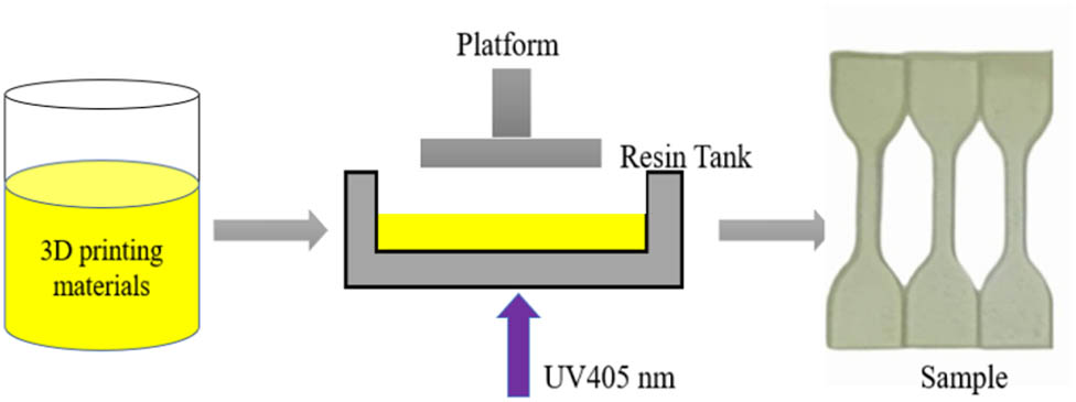 Figure 3 
                  Curing process of 3D printing materials.
               