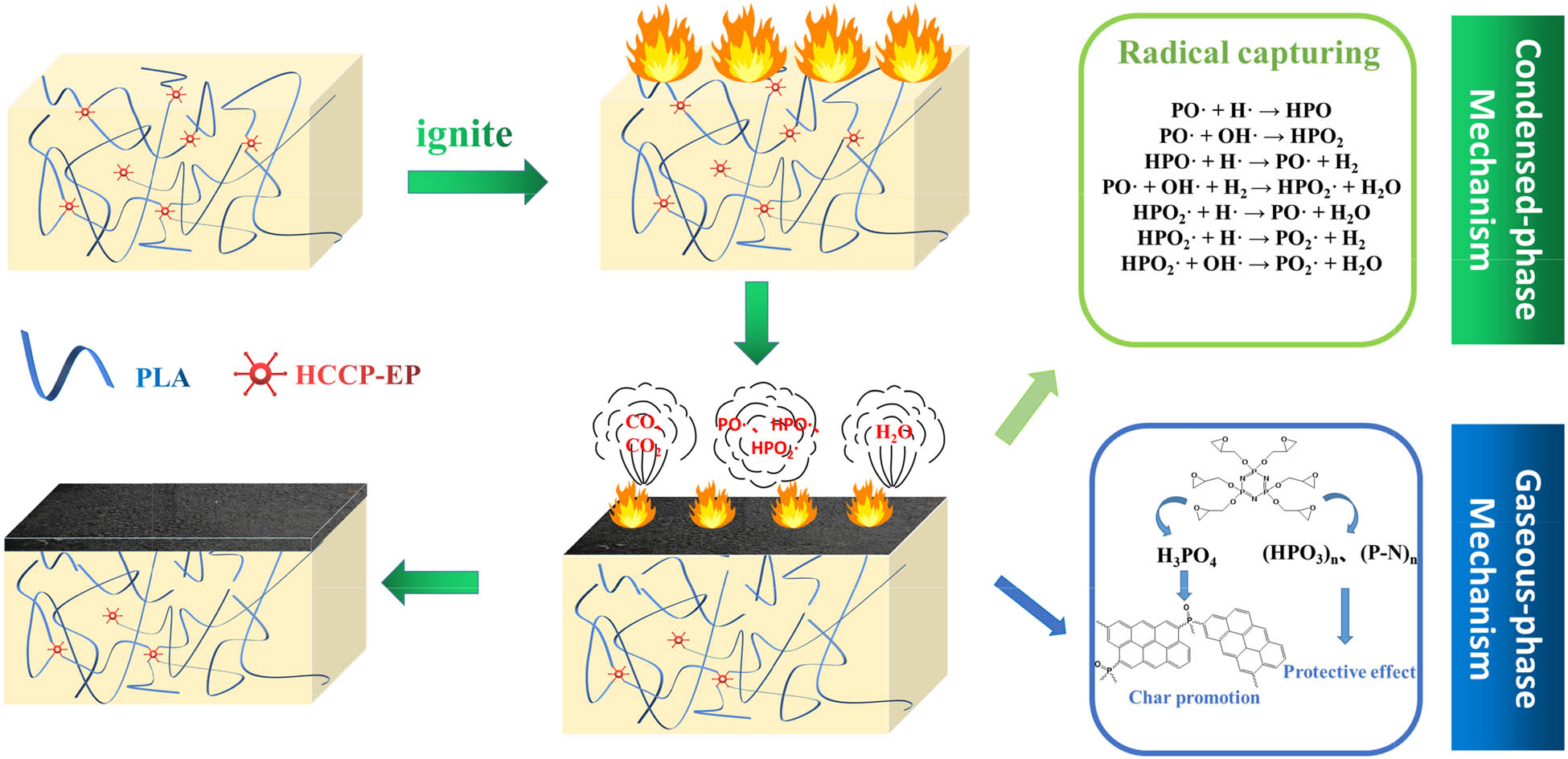 Figure 8 
                  The flame-retardant mechanism of HCCP-EP.