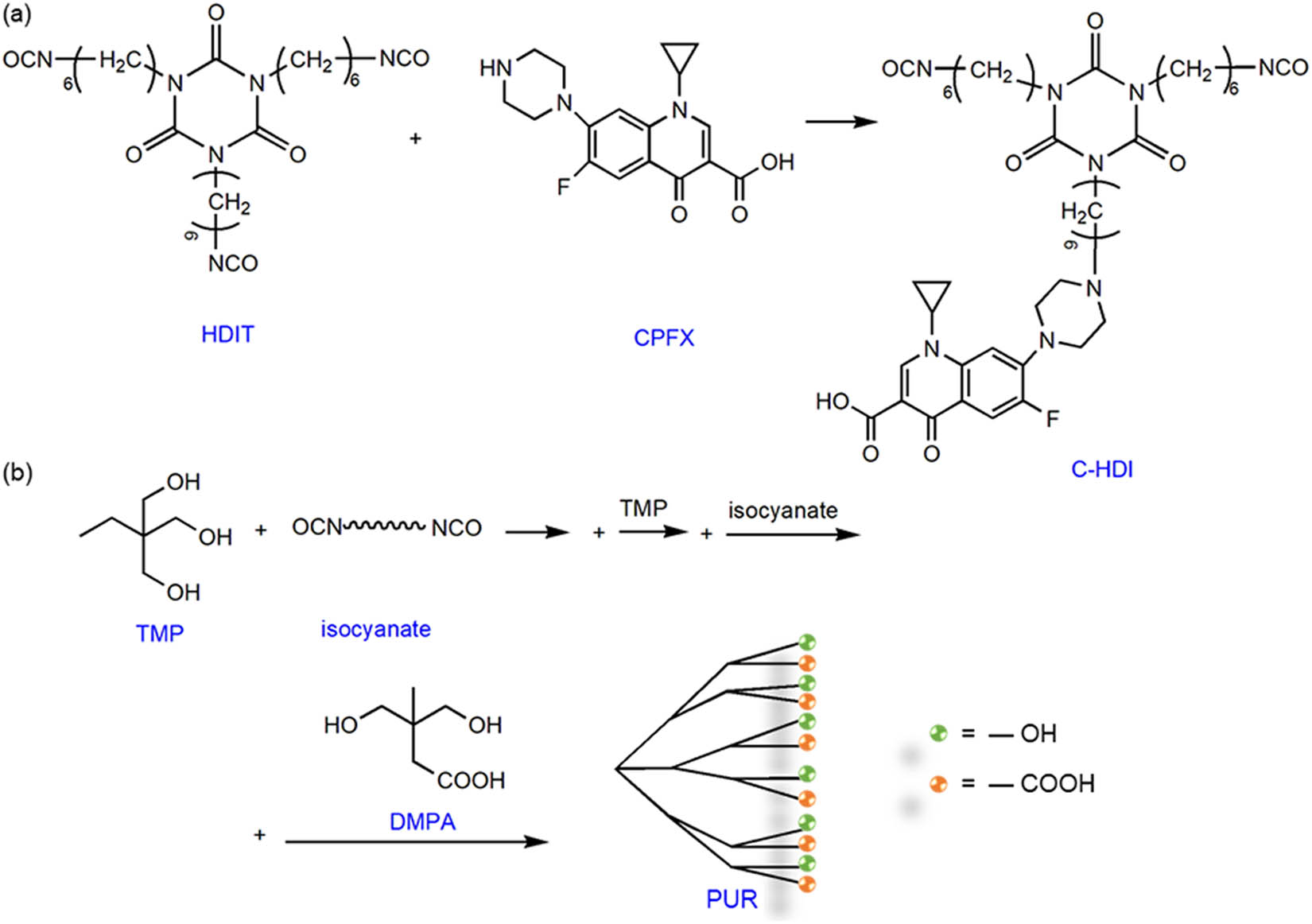 Scheme 1 
                  Preparation of (a) C-HDI and (b) PUR.