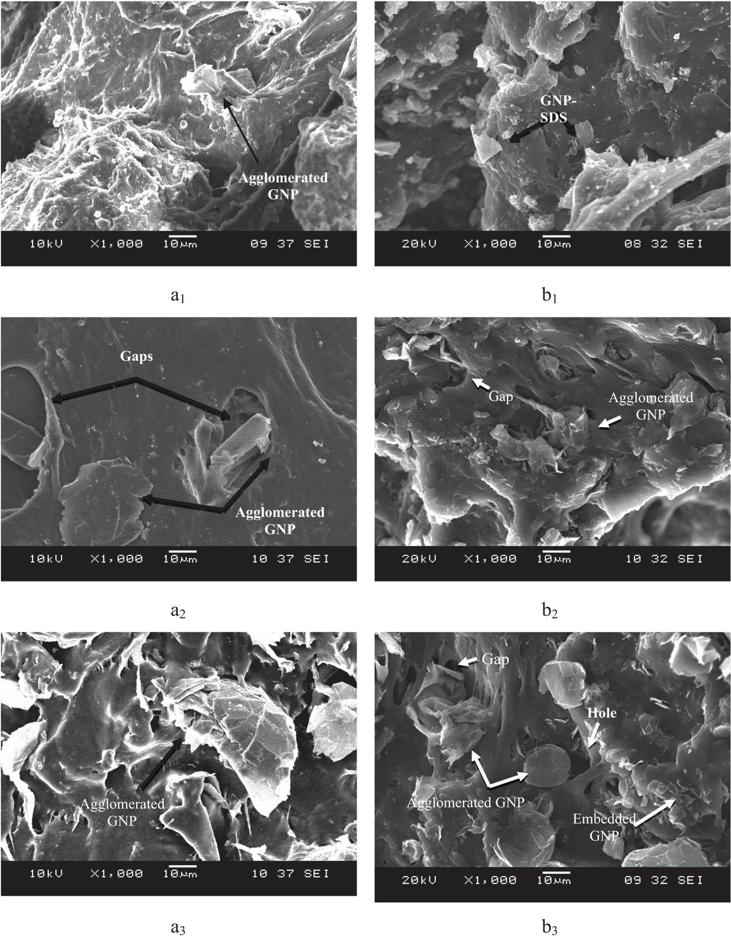 Figure 7 
                  SEM micrographs of the tensile fracture surface of (a) NRL/GNP-pristine and (b) NRL/GNP–SDS composites at: (1) 1 phr, (2) 3 phr, and (3) 9 phr of GNP loadings, respectively.
               