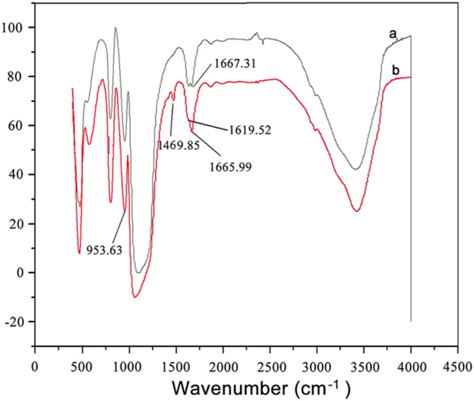 Figure 3 
                  FTIR spectra of (a) SPAM and (b) CSPAM.
               