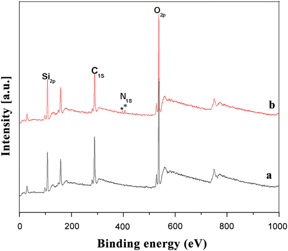 Figure 4 
                  XPS spectra of wide region spectroscopy: (a) modified SiO2 and (b) CSPAM.
               