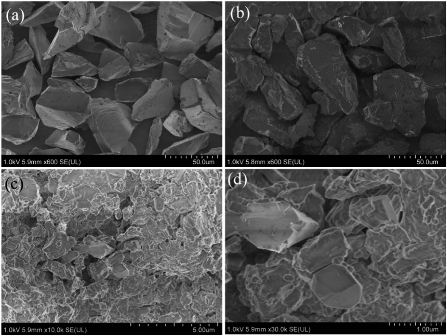 Figure 3 
                     SEM images of (a) SiC; (b) SiC-KH560; (c and d) SiC-M with different amplification ratios.
                  
