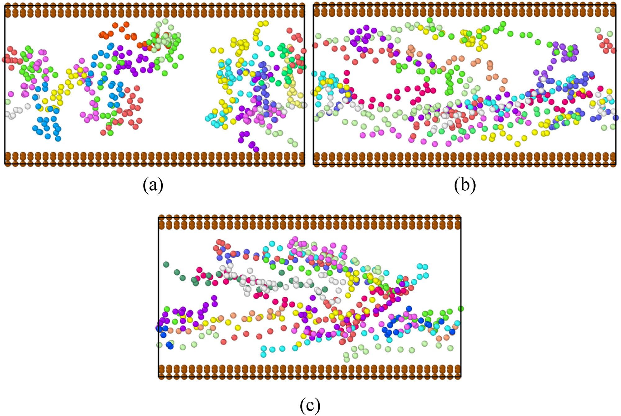 Figure 13 
                  Snapshots for wormlike chains with 
                        
                           
                           
                              
                                 
                                    λ
                                 
                                 
                                    p
                                 
                                 
                                    eff
                                 
                              
                              
                              =
                              
                              0.5
                           
                           {\lambda }_{\text{p}}^{\text{eff}}\hspace{.0em}=\hspace{.0em}0.5
                        
                      for varying values of the driving force at the last time step: (a) f = 0, (b) f = 0.1, and (c) f = 0.2.
               