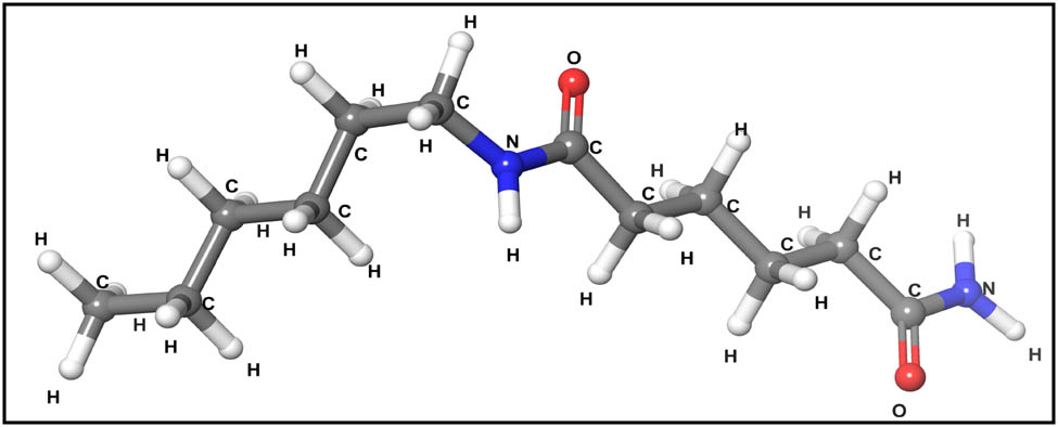 Figure 2 
                  Structure of nylon 66.
               