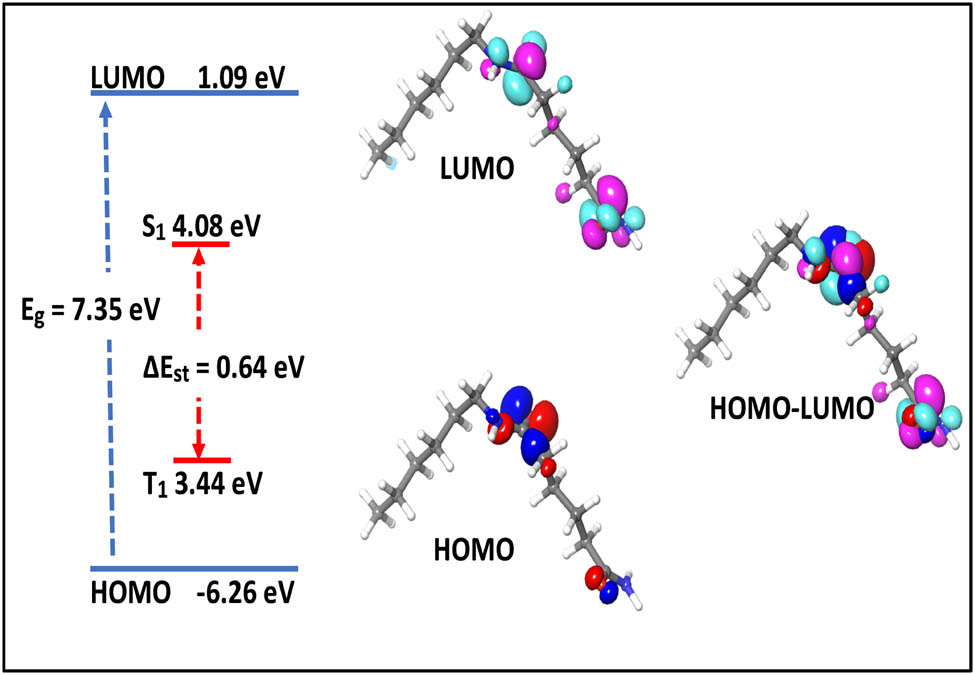Figure 4 
                  Highest and lowest molecular orbital electronic distributions, energy level, and bandgaps (Eg), the lowest singlet (S1), and triplet (T1) of nylon 66.
               