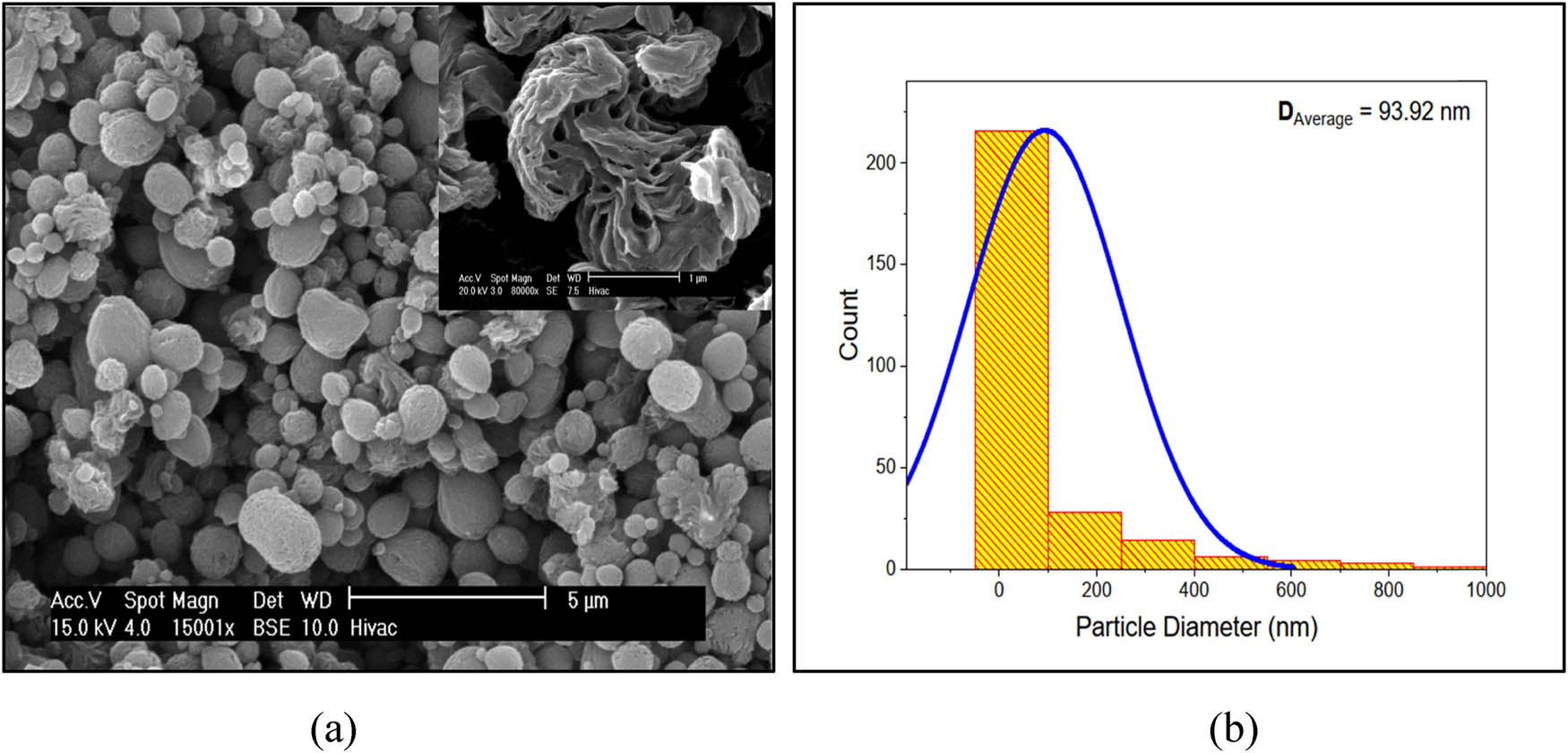 Figure 5 
                  (a) SEM micrograph of nylon 66 spherulite (41). (b) Nylon 66 crystallites’ (grains) diameter distribution curve.
               
