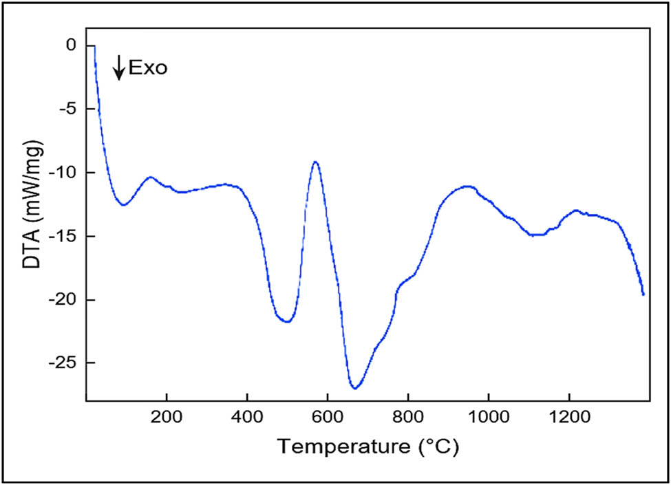 Figure 6 
                  Differential thermal analysis thermogram of nylon 66.
               