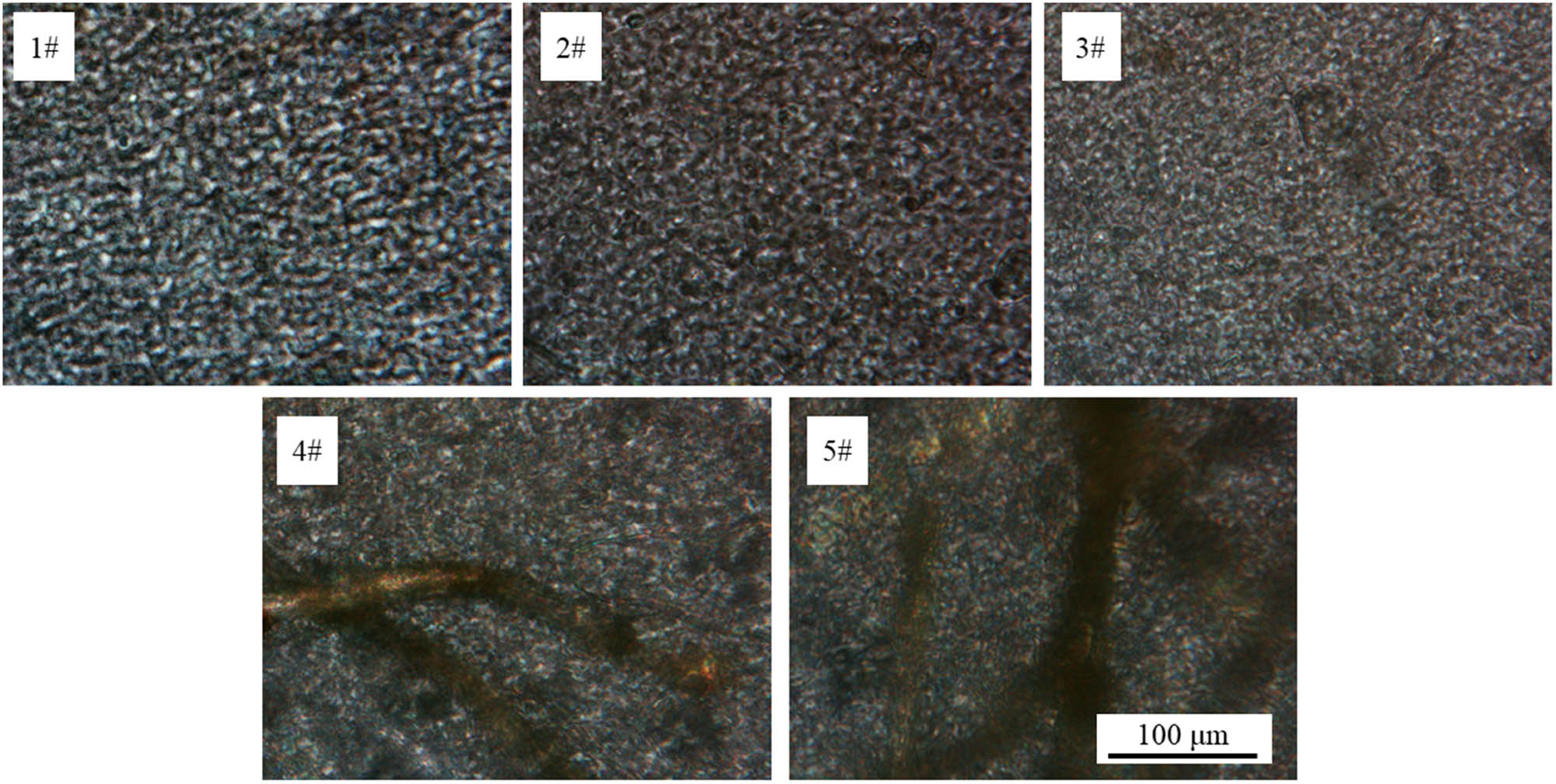 Figure 5 
                  POM images of HDPE composites.
               