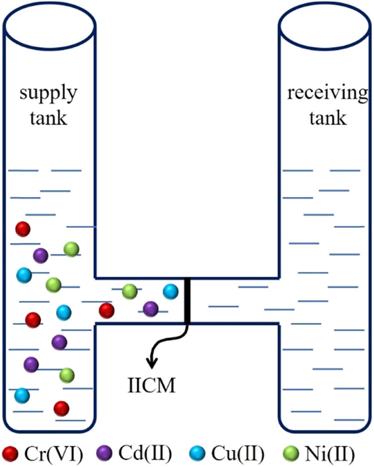 Figure 1 
                  Permeability device.
               