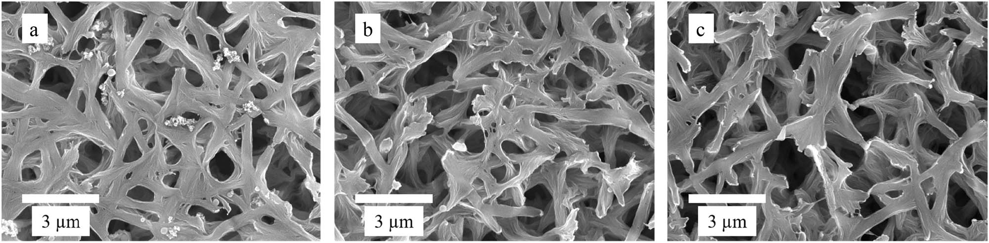 Figure 2 
                  SEM images of IICM (a), NICM (b), and nylon-6 membrane (c).
               