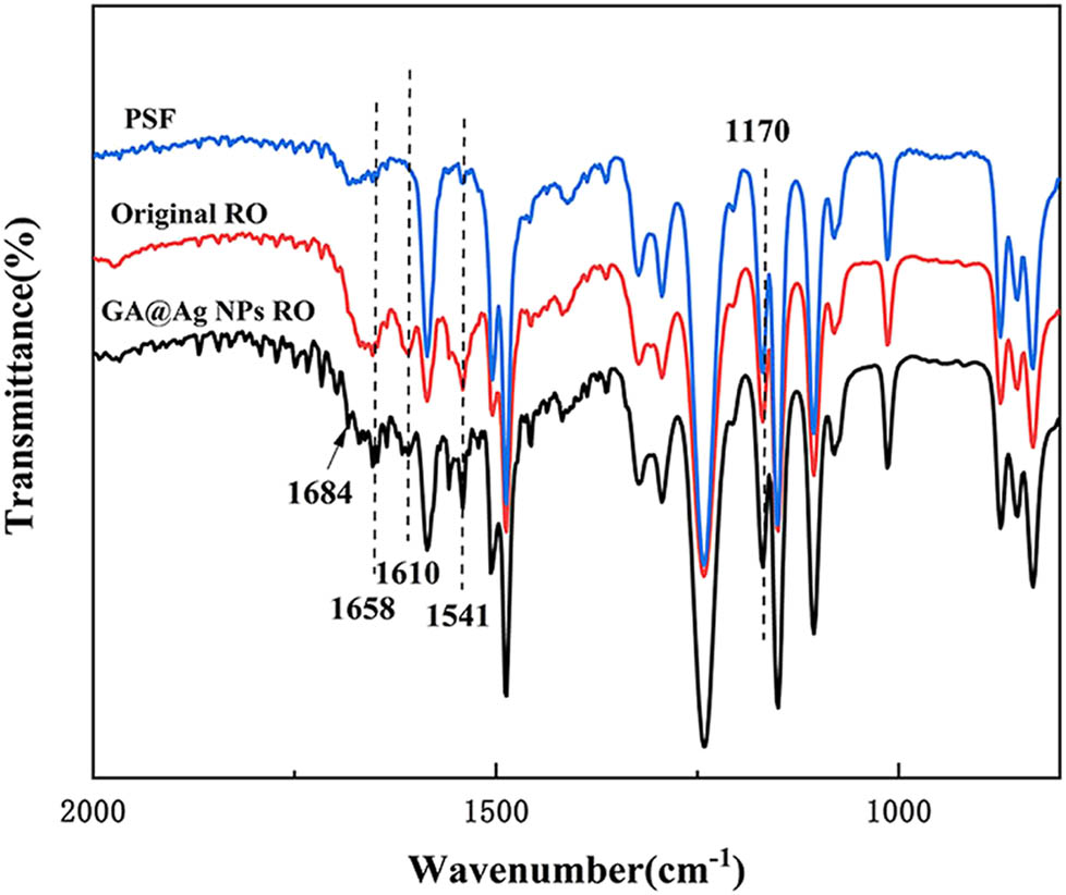 Figure 7 
                     ATR-FTIR scanning pattern on the membrane surface.
                  