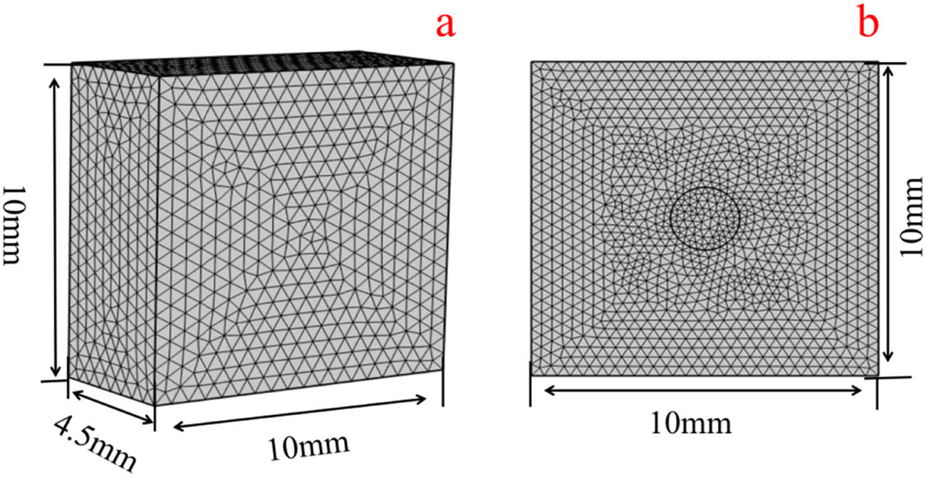 Figure 5
Schematic diagram of the size of the simulation model of PP composites: (a) cubic model and (b) plane model.