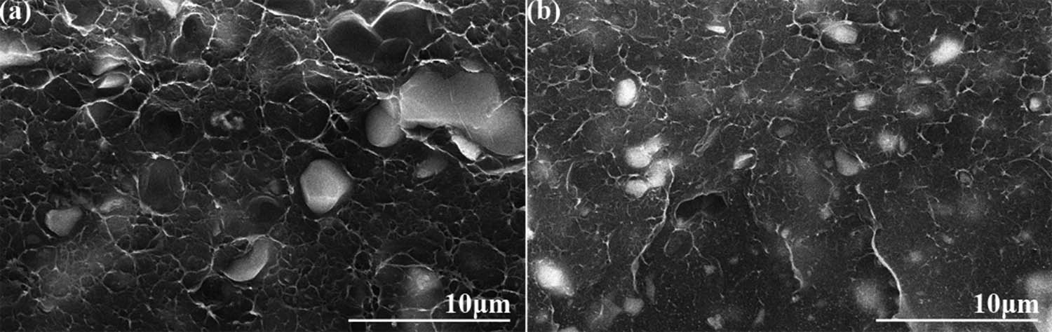 Figure 2
SEM morphologies of (a) the 10 vol% CCTO/LDPE composite and (b) the 10 vol% CCTZO/LDPE composite.