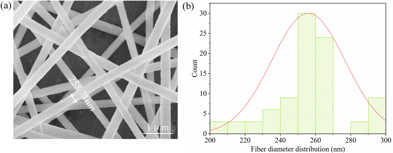 Figure 7
(a) FE-SEM image of the electrospun PAN nanofibers. (b) Diameter distribution of 100 fibers.