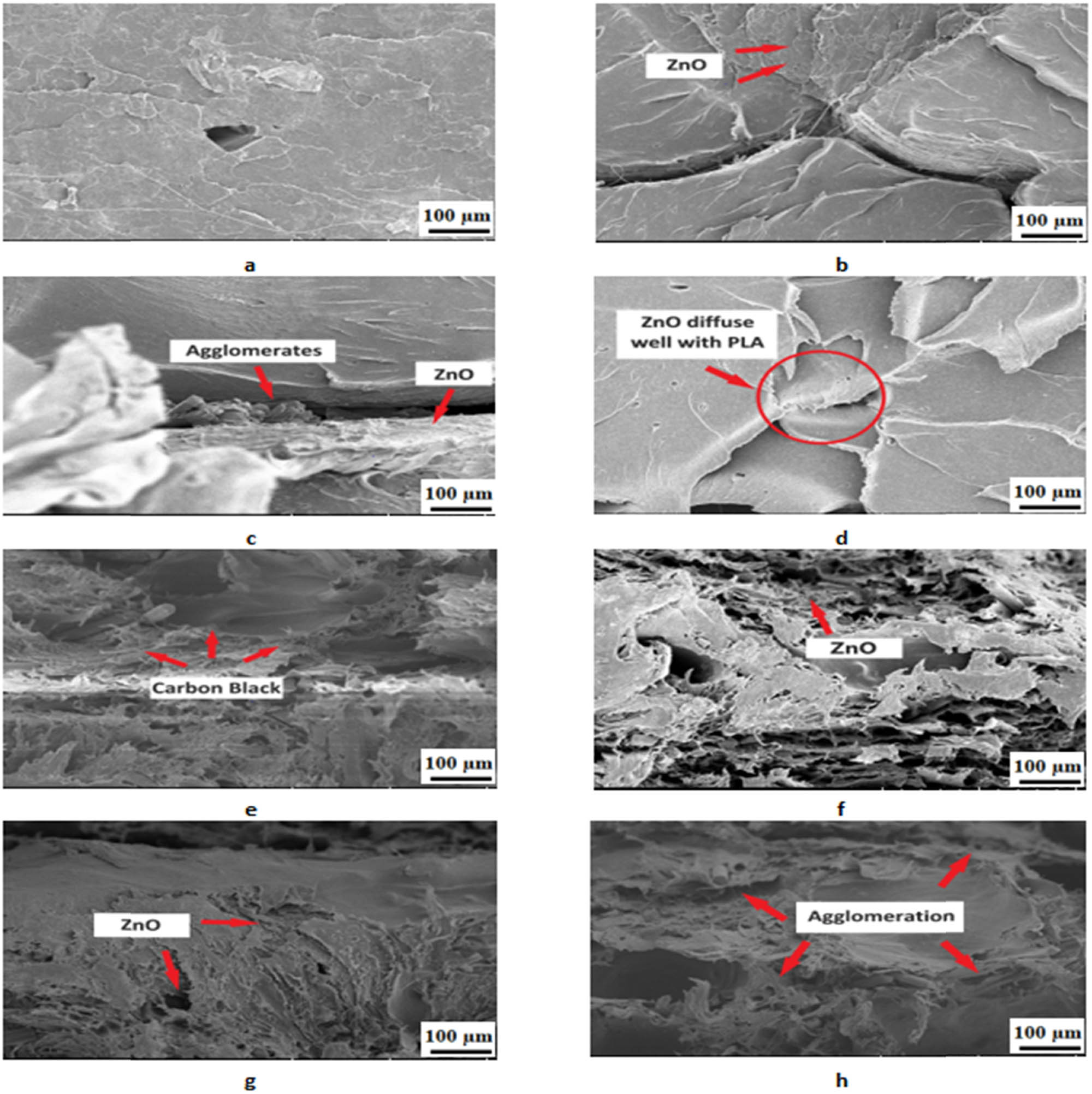 Teaser image from the article