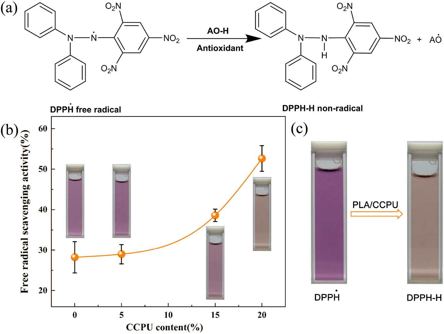 Figure 8 
                  (a) Reaction mechanism of the DPPH with free radical scavenger. (b) The free radical scavenging activity curves of the PLA/CCPU blend films (PLA, PLA/CCPU-5, -15, and -20). (c) Discoloration of DPPH solution when the PLA/CCPU blend film was added to the DPPH solution.