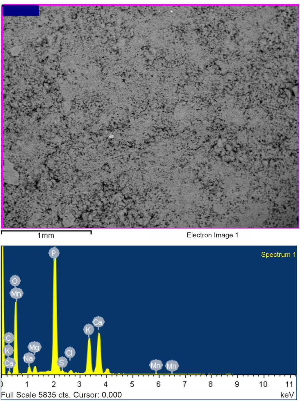 Figure 1
SEM image (top) and EDX analysis (bottom) of encapsulated fertilizer.