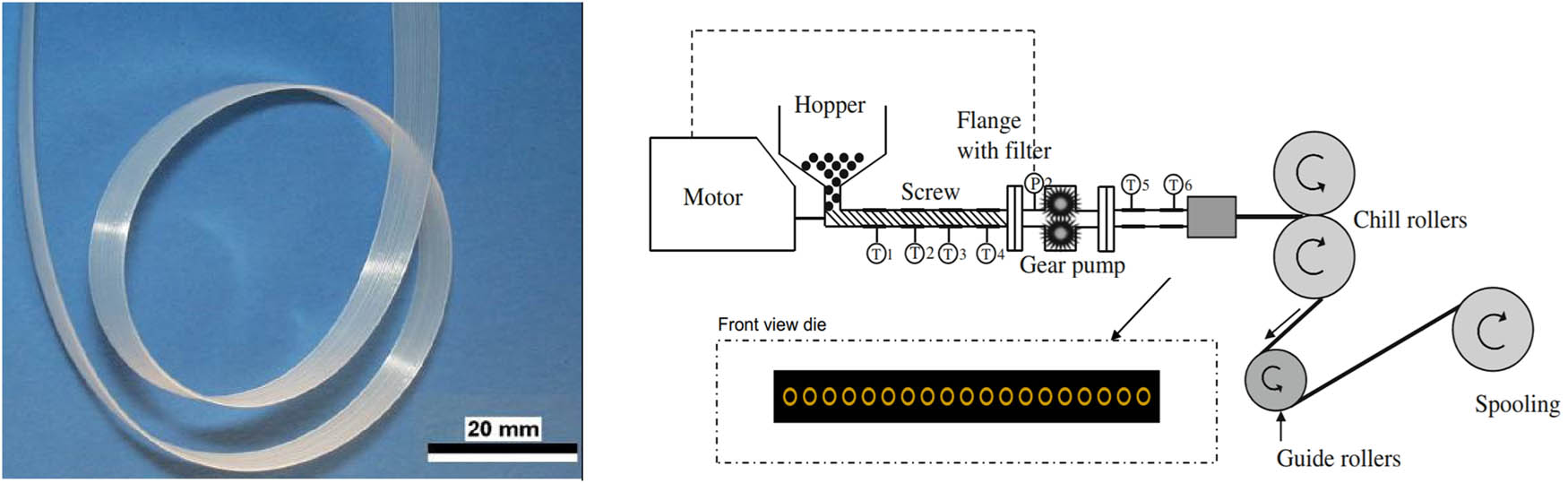 Figure 1 
               MCFs and the MCF extrusion process.