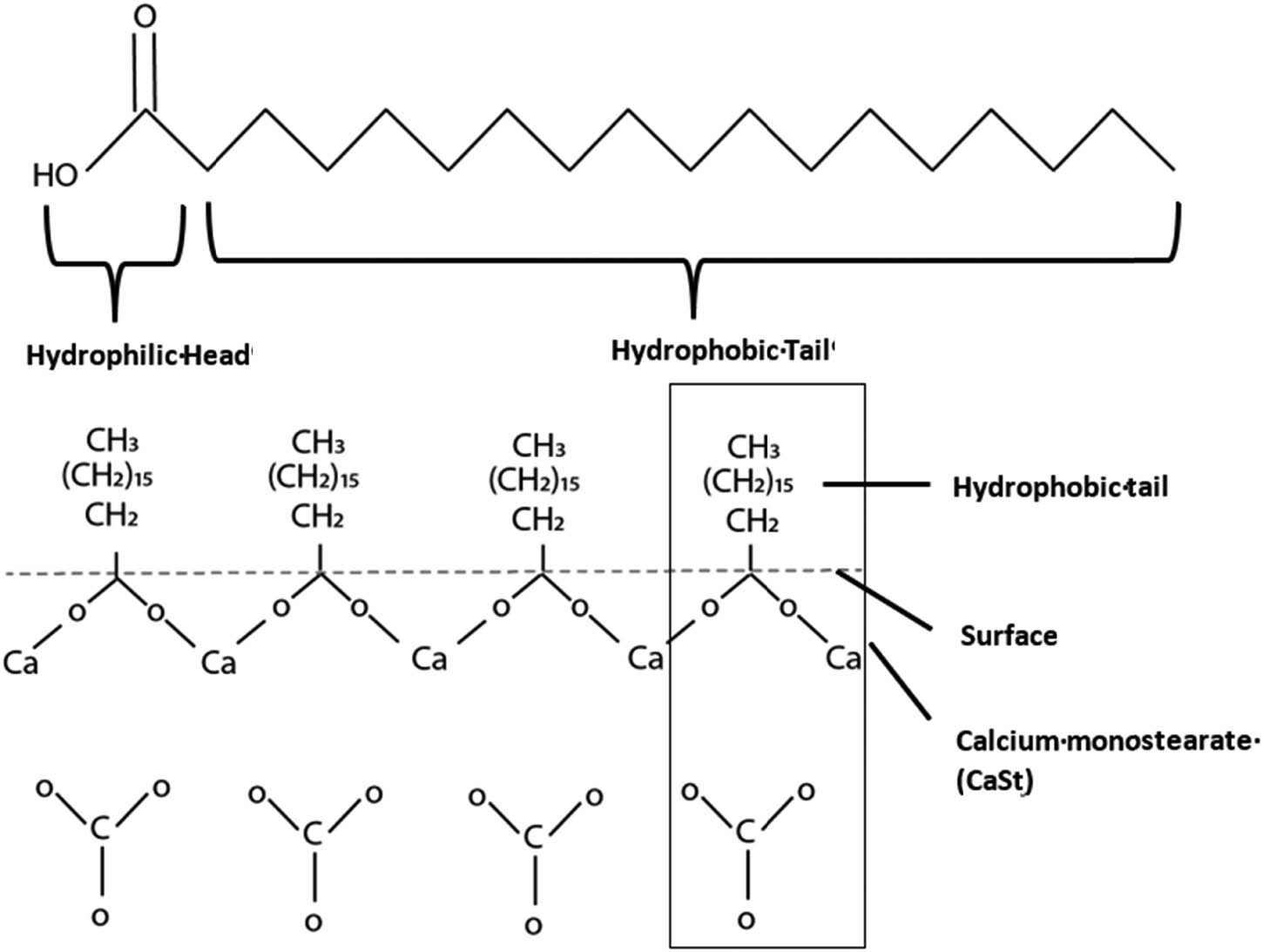 Figure 6 
                  The surface chemistry of coated stearic acid calcium carbonate.
               