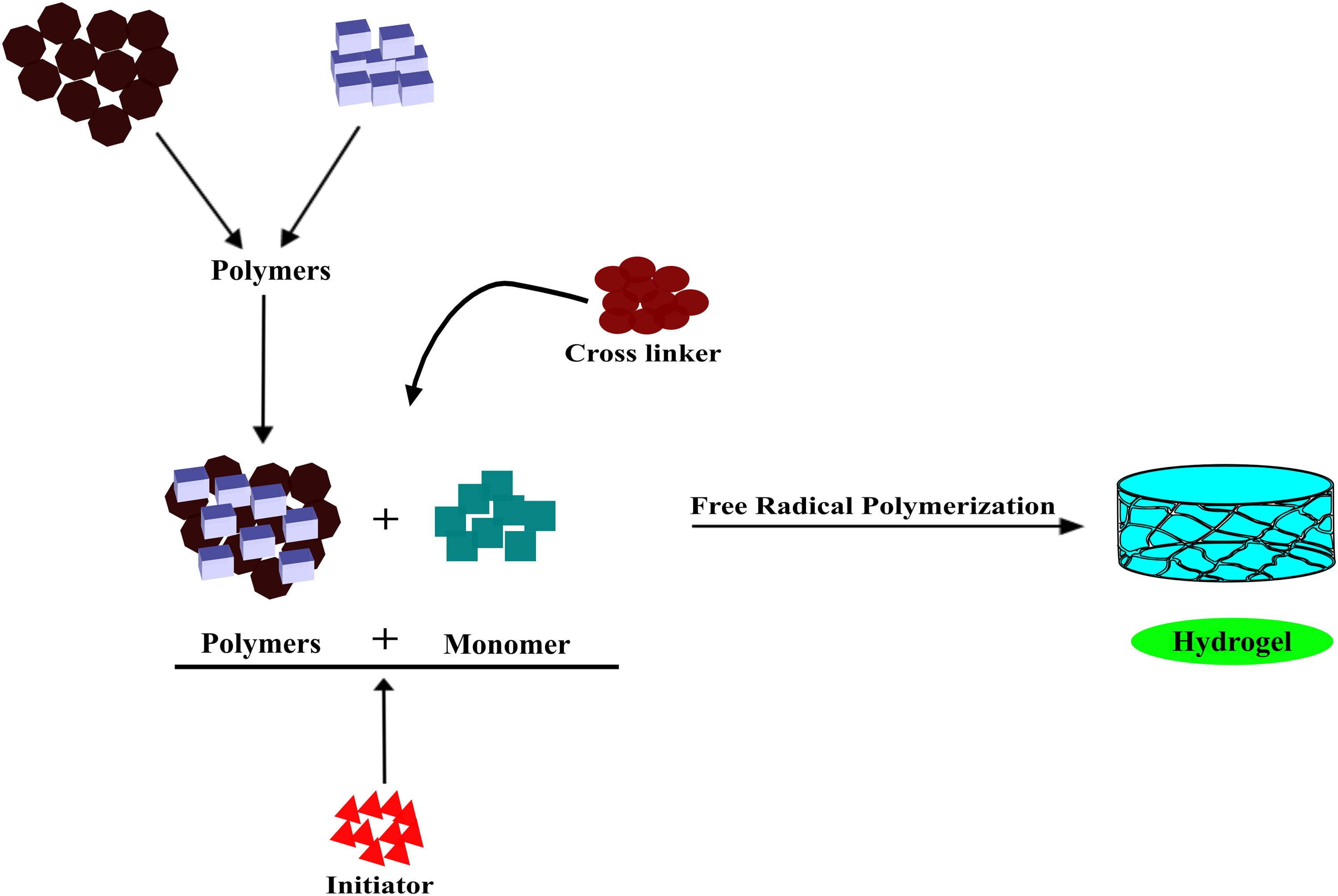 Scheme 1
Formulation of hydrogel through free radical polymerization technique.