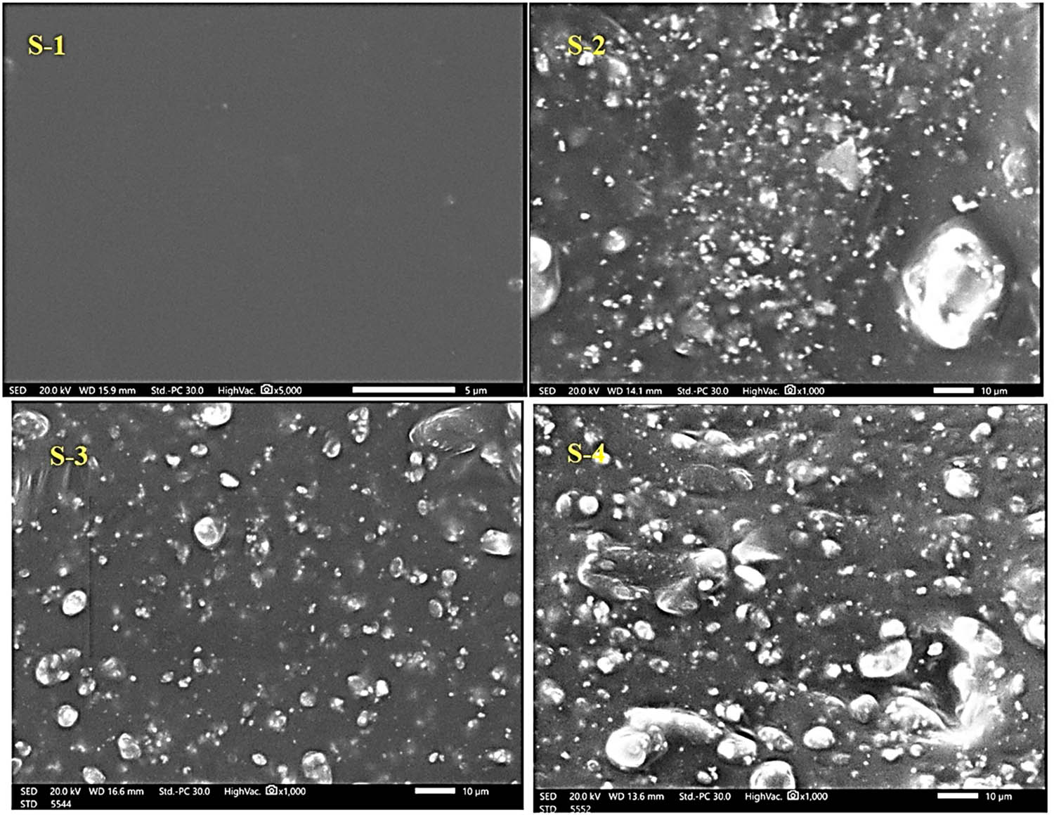 Figure 4 
                  SEM images of prepared advanced silicone rubber samples.
               