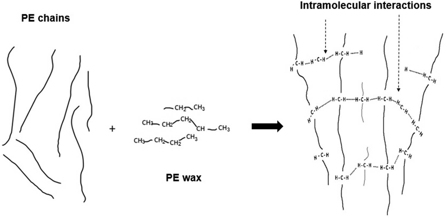 Figure 6
Intramolecular interactions between PE chains and PE wax that form physical crosslinking.