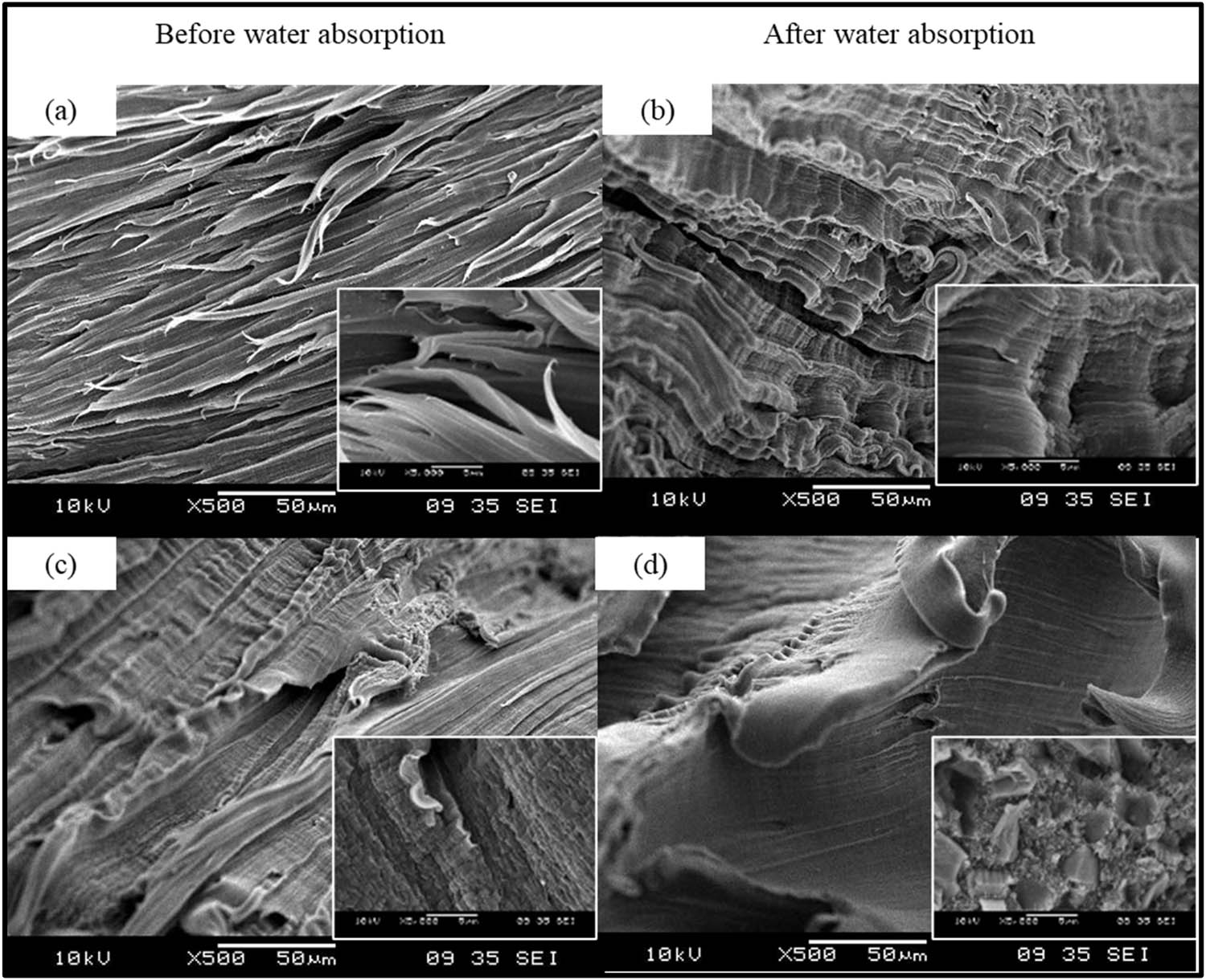 Figure 8
Tensile fracture surface SEM morphology of 4 phr PM for (a and b) PMC A and (c and d) PMC B before and after water absorption test.