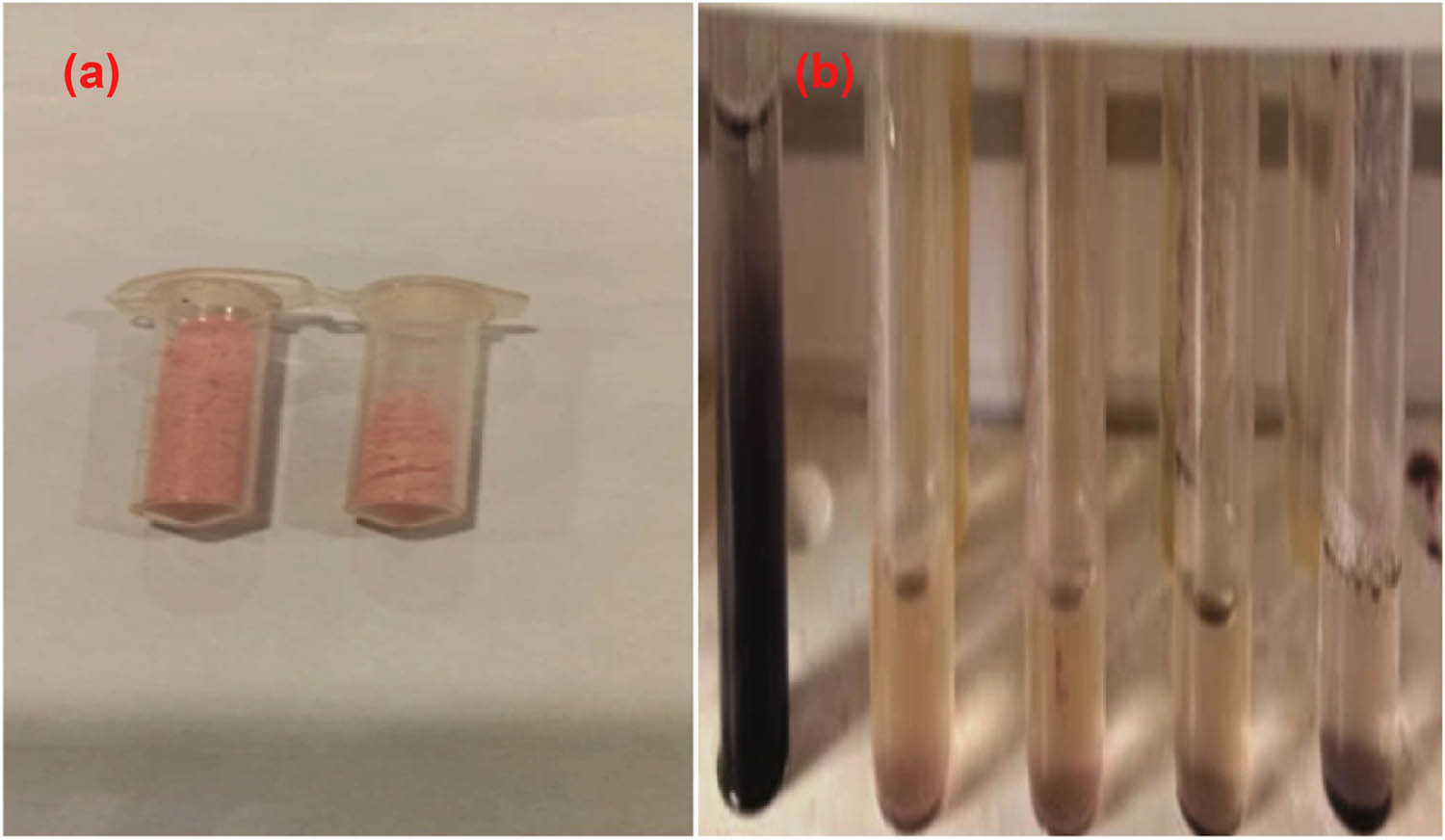 Figure 1
(a) Core–shell nanoparticles and (b) tube-based adsorption study.